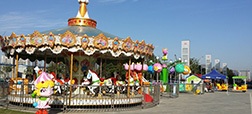 Amusement Park Rides Project
