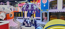 Amusement Park Rides Video