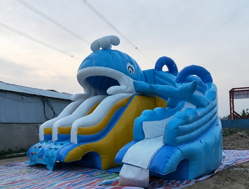 Little Whale Inflatable Water Slide