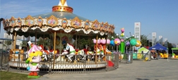 Amusement Park Rides